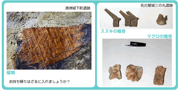 魚の骨と魚を入れた編物
