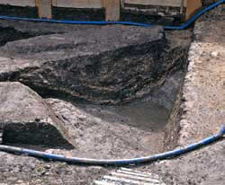 photo4
