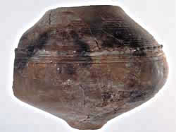 photo5