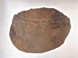 photo6