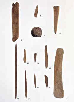 photo7