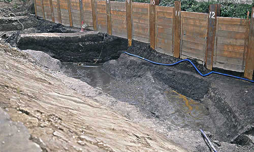 photo8