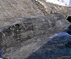 photo9