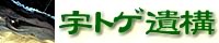 �F�g�Q ��\