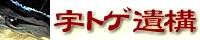 �F�g�Q ��\