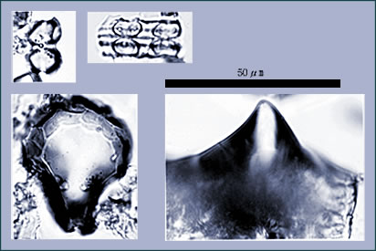 nature1-3