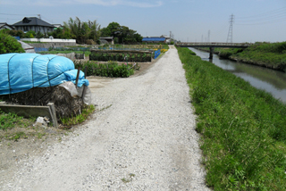 台地